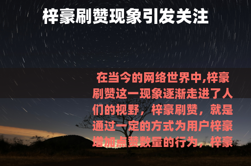 梓豪刷赞现象引发关注