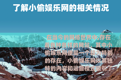了解小偷娱乐网的相关情况