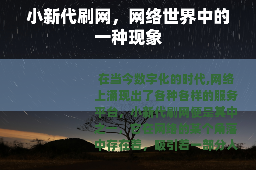 小新代刷网，网络世界中的一种现象