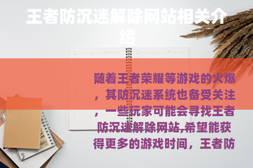 王者防沉迷解除网站相关介绍