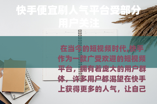 快手便宜刷人气平台受部分用户关注