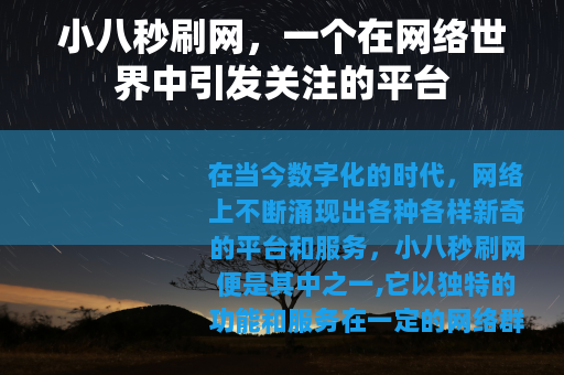 小八秒刷网，一个在网络世界中引发关注的平台