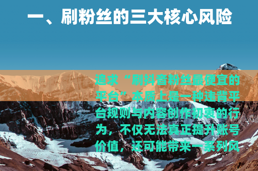 一、刷粉丝的三大核心风险