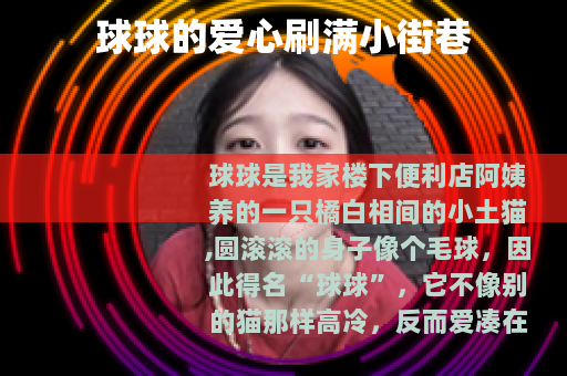 球球的爱心刷满小街巷
