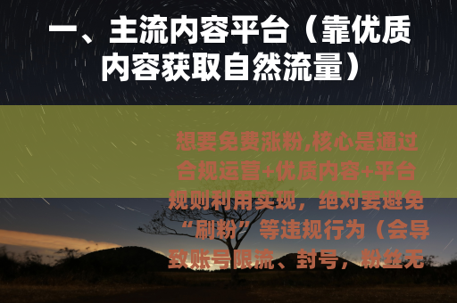 一、主流内容平台（靠优质内容获取自然流量）