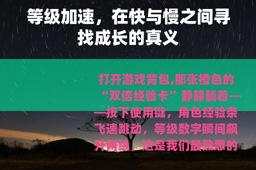 等级加速，在快与慢之间寻找成长的真义