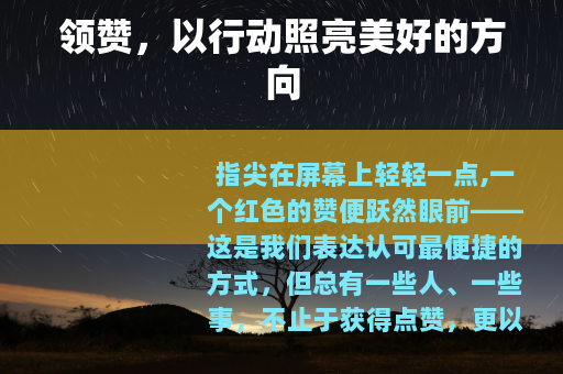 领赞，以行动照亮美好的方向