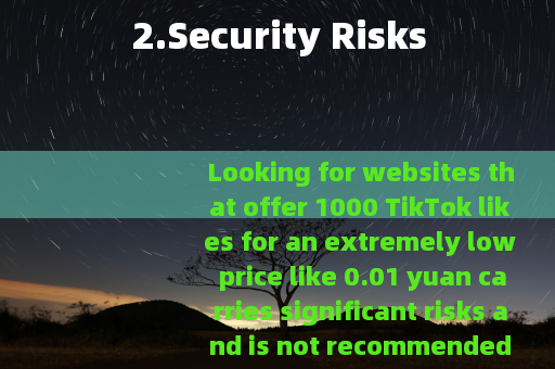 2.Security Risks