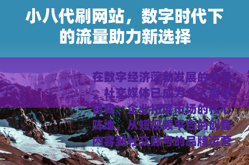 小八代刷网站，数字时代下的流量助力新选择