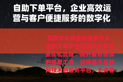自助下单平台，企业高效运营与客户便捷服务的数字化桥梁