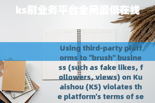 ks刷业务平台全网最低在线