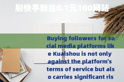 刷快手粉丝0.1元100网站