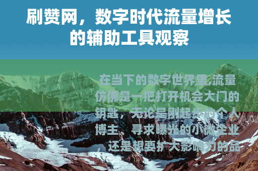 刷赞网，数字时代流量增长的辅助工具观察