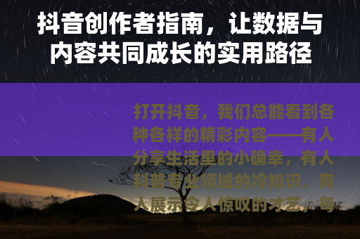 抖音创作者指南，让数据与内容共同成长的实用路径