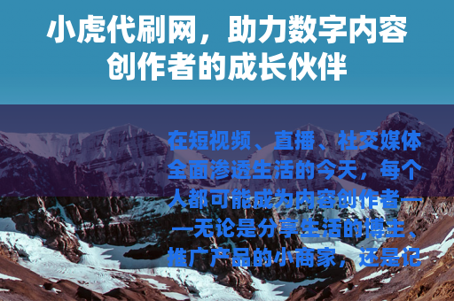 小虎代刷网，助力数字内容创作者的成长伙伴
