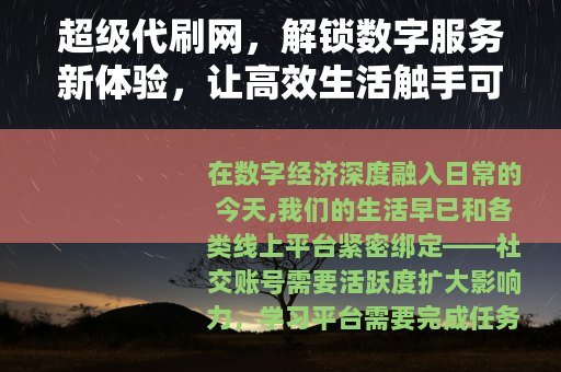 超级代刷网，解锁数字服务新体验，让高效生活触手可及