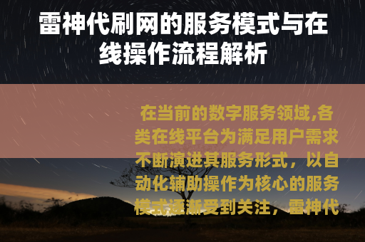 雷神代刷网的服务模式与在线操作流程解析