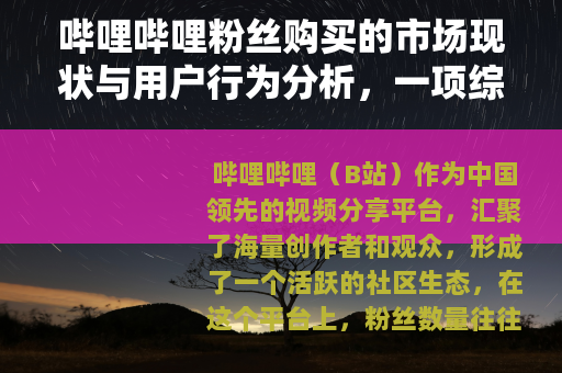 哔哩哔哩粉丝购买的市场现状与用户行为分析，一项综合研究
