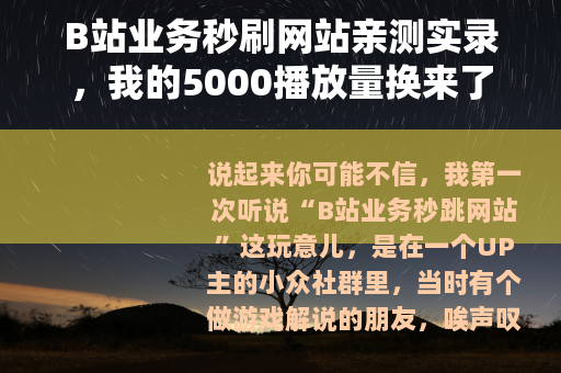 B站业务秒刷网站亲测实录，我的5000播放量换来了什么？