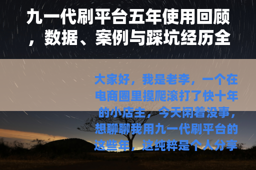 九一代刷平台五年使用回顾，数据、案例与踩坑经历全分享