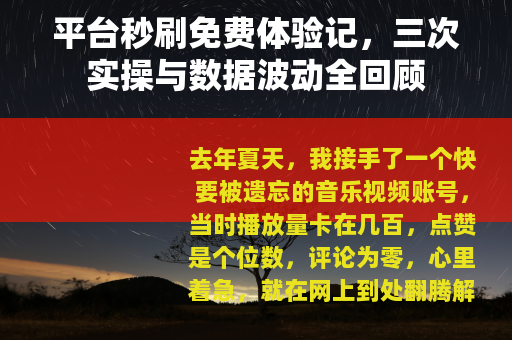 平台秒刷免费体验记，三次实操与数据波动全回顾
