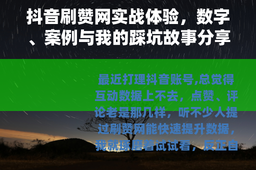 抖音刷赞网实战体验，数字、案例与我的踩坑故事分享