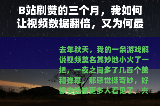 B站刷赞的三个月，我如何让视频数据翻倍，又为何最终放弃