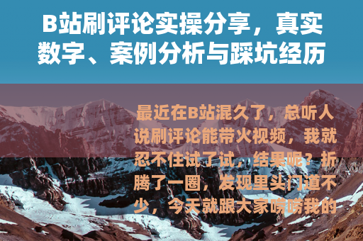 B站刷评论实操分享，真实数字、案例分析与踩坑经历全记录