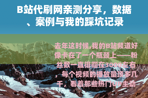 B站代刷网亲测分享，数据、案例与我的踩坑记录
