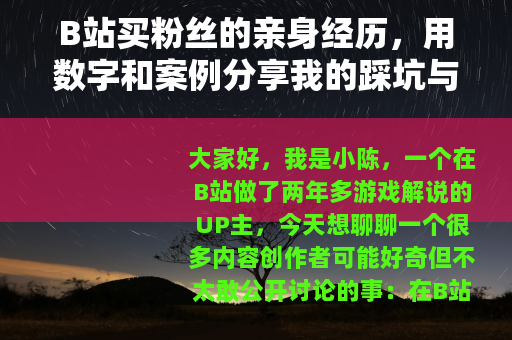 B站买粉丝的亲身经历，用数字和案例分享我的踩坑与实用建议