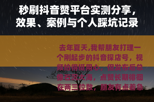 秒刷抖音赞平台实测分享，效果、案例与个人踩坑记录