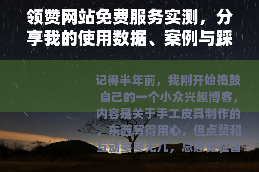 领赞网站免费服务实测，分享我的使用数据、案例与踩坑经验