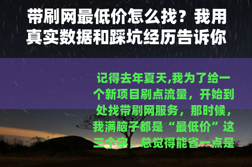 带刷网最低价怎么找？我用真实数据和踩坑经历告诉你