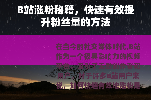 B站涨粉秘籍，快速有效提升粉丝量的方法