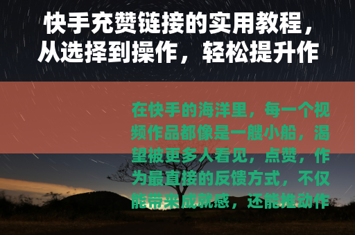 快手充赞链接的实用教程，从选择到操作，轻松提升作品人气