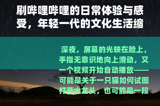 刷哔哩哔哩的日常体验与感受，年轻一代的文化生活缩影