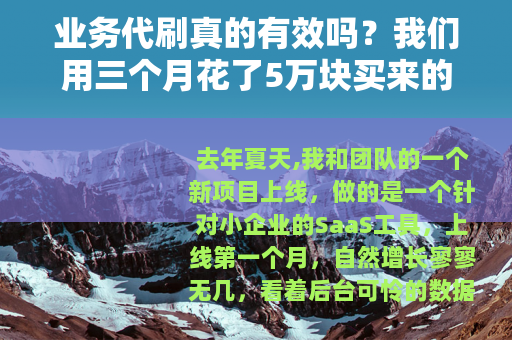 业务代刷真的有效吗？我们用三个月花了5万块买来的教训