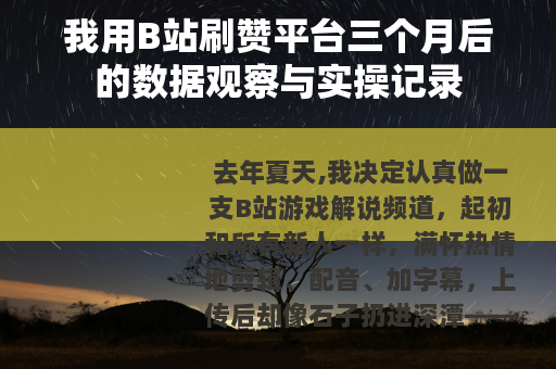我用B站刷赞平台三个月后的数据观察与实操记录