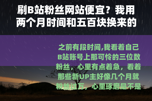 刷B站粉丝网站便宜？我用两个月时间和五百块换来的教训