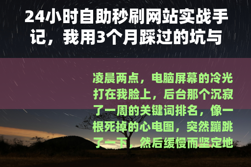 24小时自助秒刷网站实战手记，我用3个月踩过的坑与数据复盘