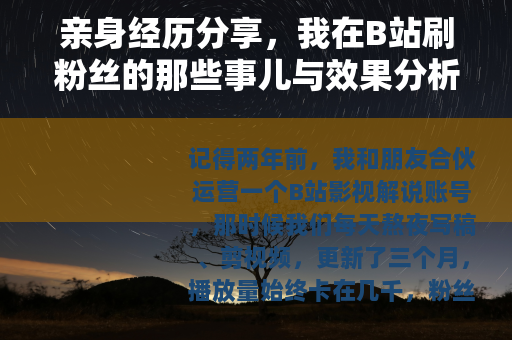 亲身经历分享，我在B站刷粉丝的那些事儿与效果分析