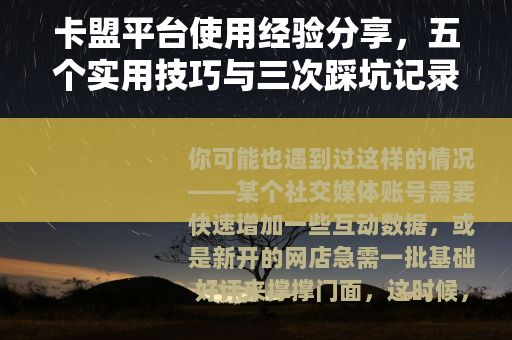 卡盟平台使用经验分享，五个实用技巧与三次踩坑记录