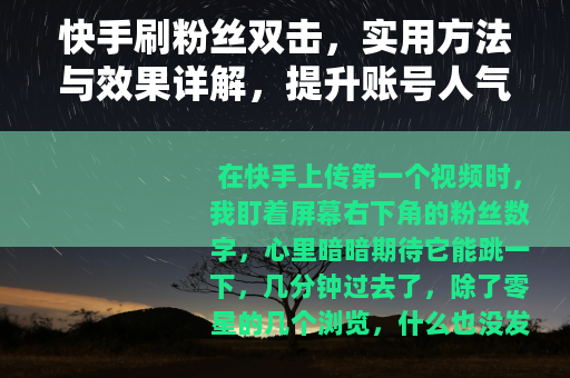 快手刷粉丝双击，实用方法与效果详解，提升账号人气必备
