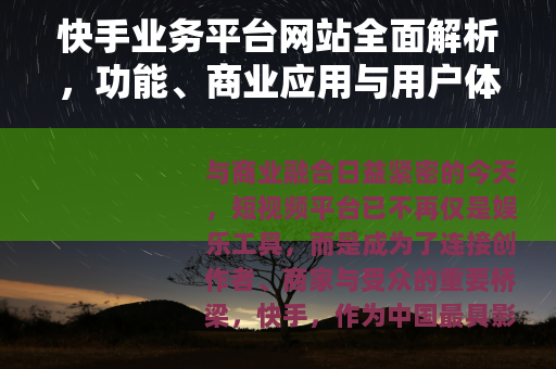 快手业务平台网站全面解析，功能、商业应用与用户体验深度指南
