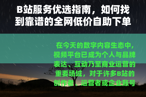 B站服务优选指南，如何找到靠谱的全网低价自助下单平台