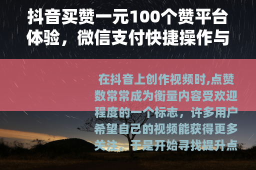 抖音买赞一元100个赞平台体验，微信支付快捷操作与使用心得