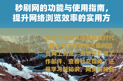 秒刷网的功能与使用指南，提升网络浏览效率的实用方法