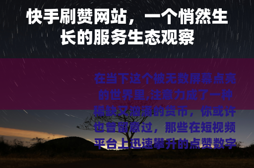 快手刷赞网站，一个悄然生长的服务生态观察