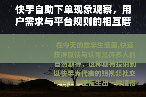 快手自助下单现象观察，用户需求与平台规则的相互磨合