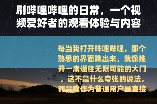 刷哔哩哔哩的日常，一个视频爱好者的观看体验与内容分享
